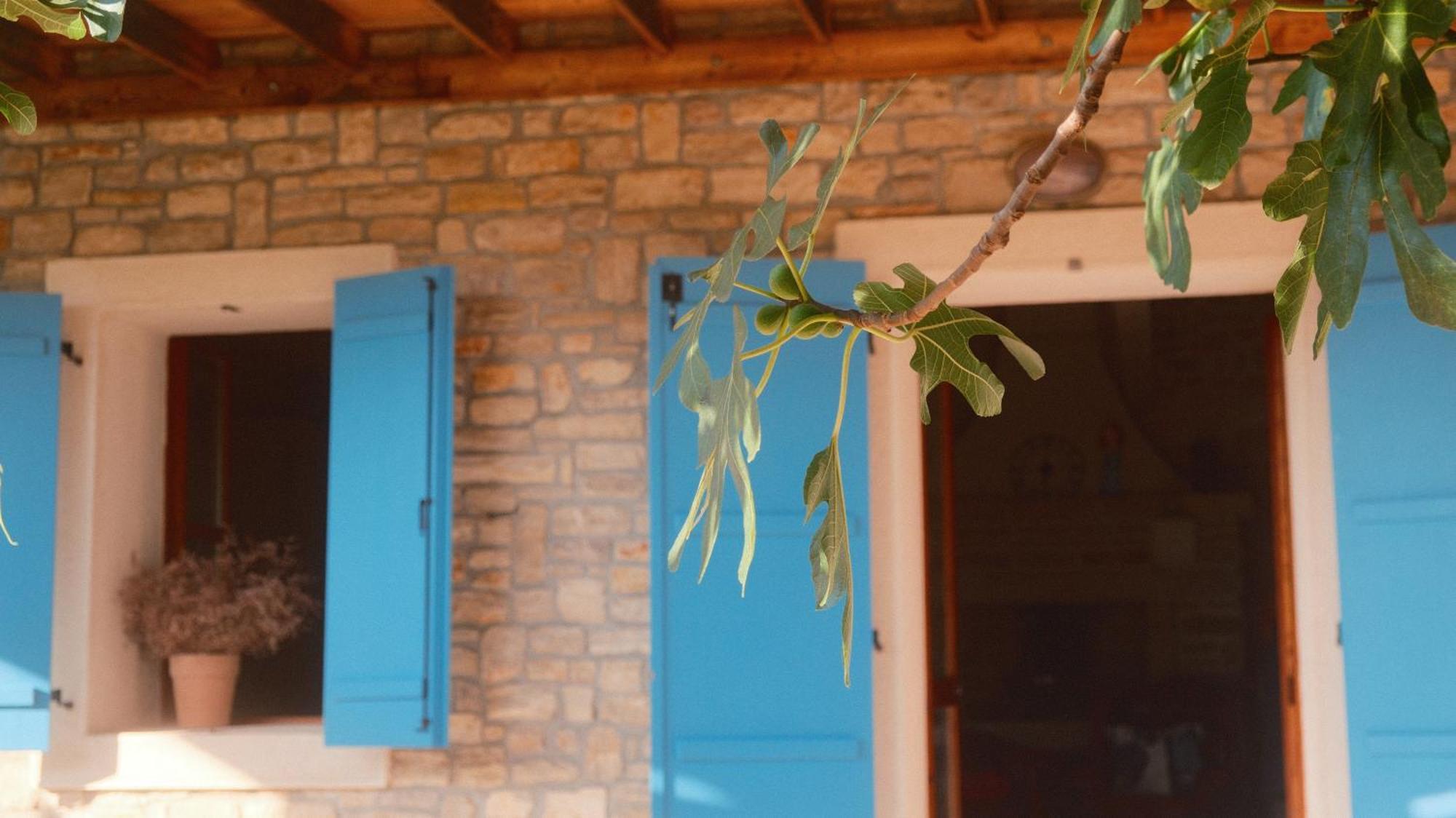 Kamena Kuca Mamma Mia Villa ซูโกชัน ภายนอก รูปภาพ